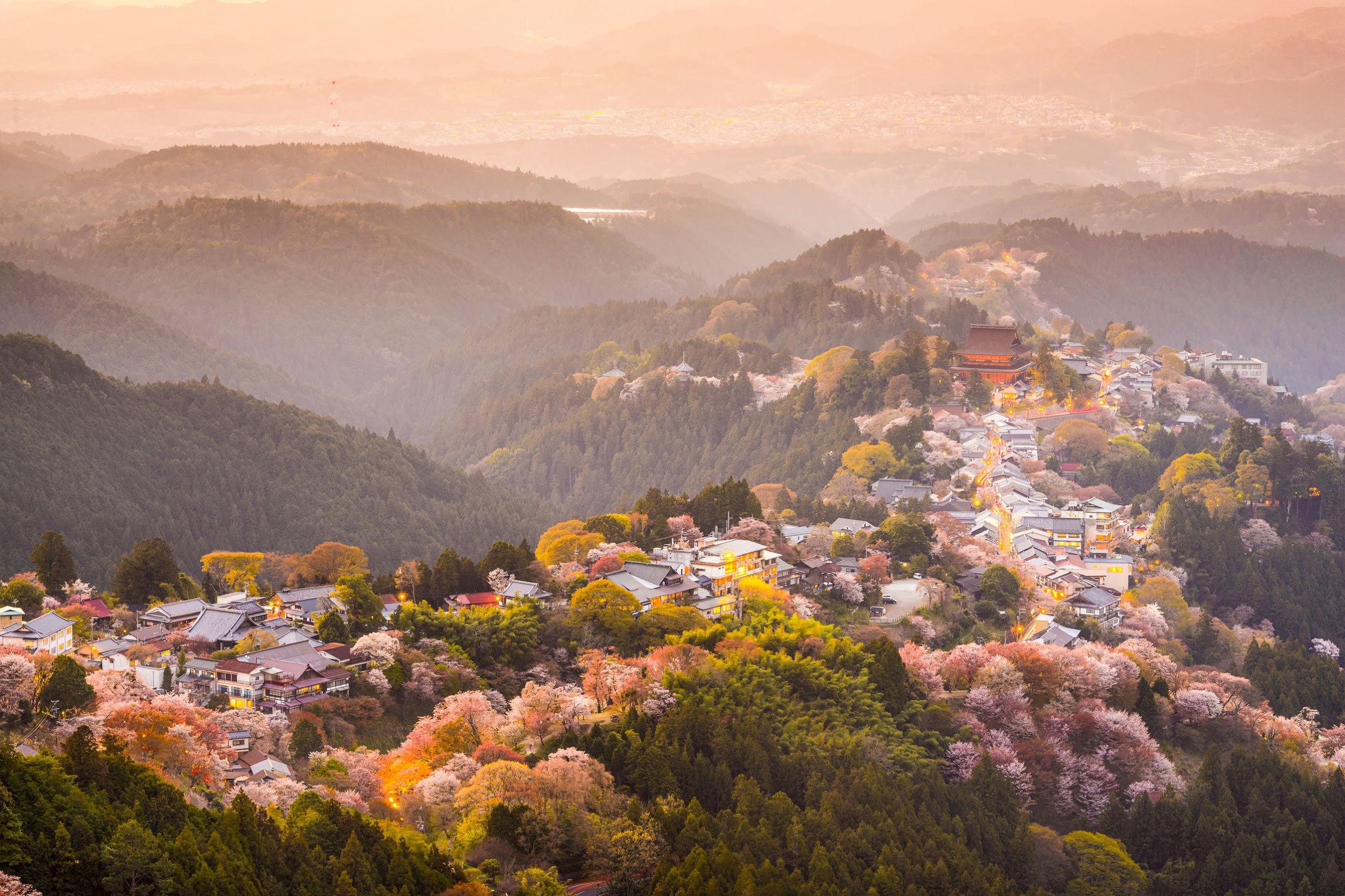 1-Day Nara Travel Itinerary: A Japanese City Blending Modernity And Tradition
