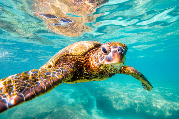 6 Eco-Friendly Sustainable Travel Products That Will Change Your Life