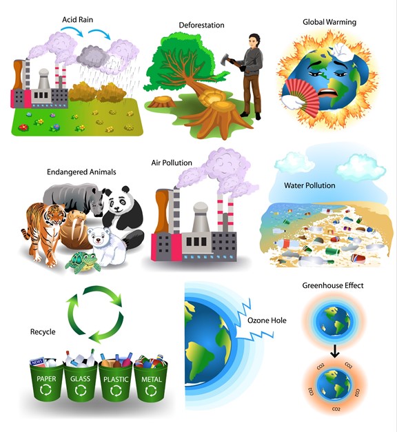 A Guide To USA Endangered Wildlife Travel Destinations And Vacations